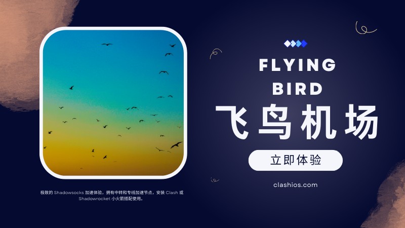 飞鸟机场官网
