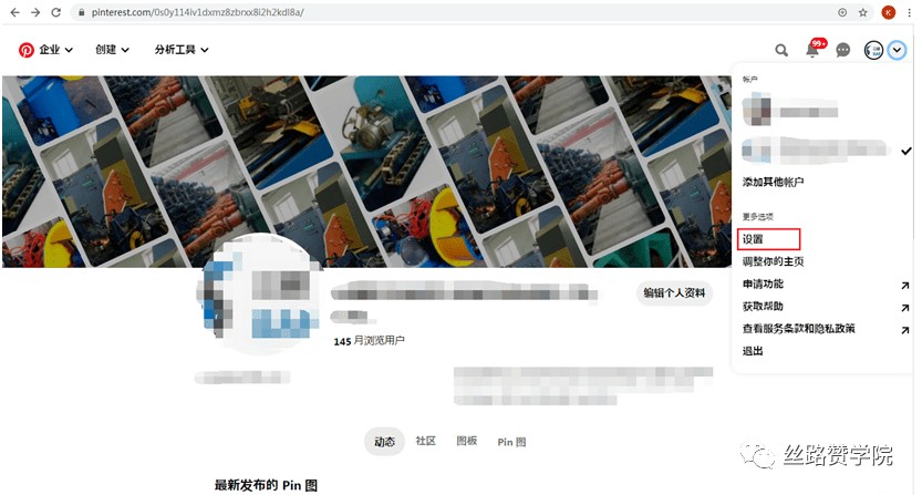 图片[8]-Pinterest推广技巧教程（账号搭建至发布优化）-LyleSeo