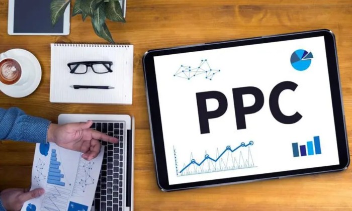 PPC是什么