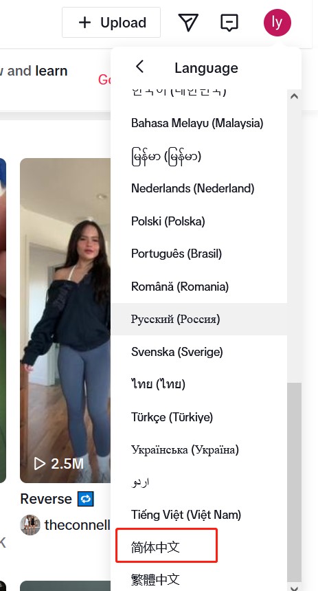 Tiktok中文版网页设置